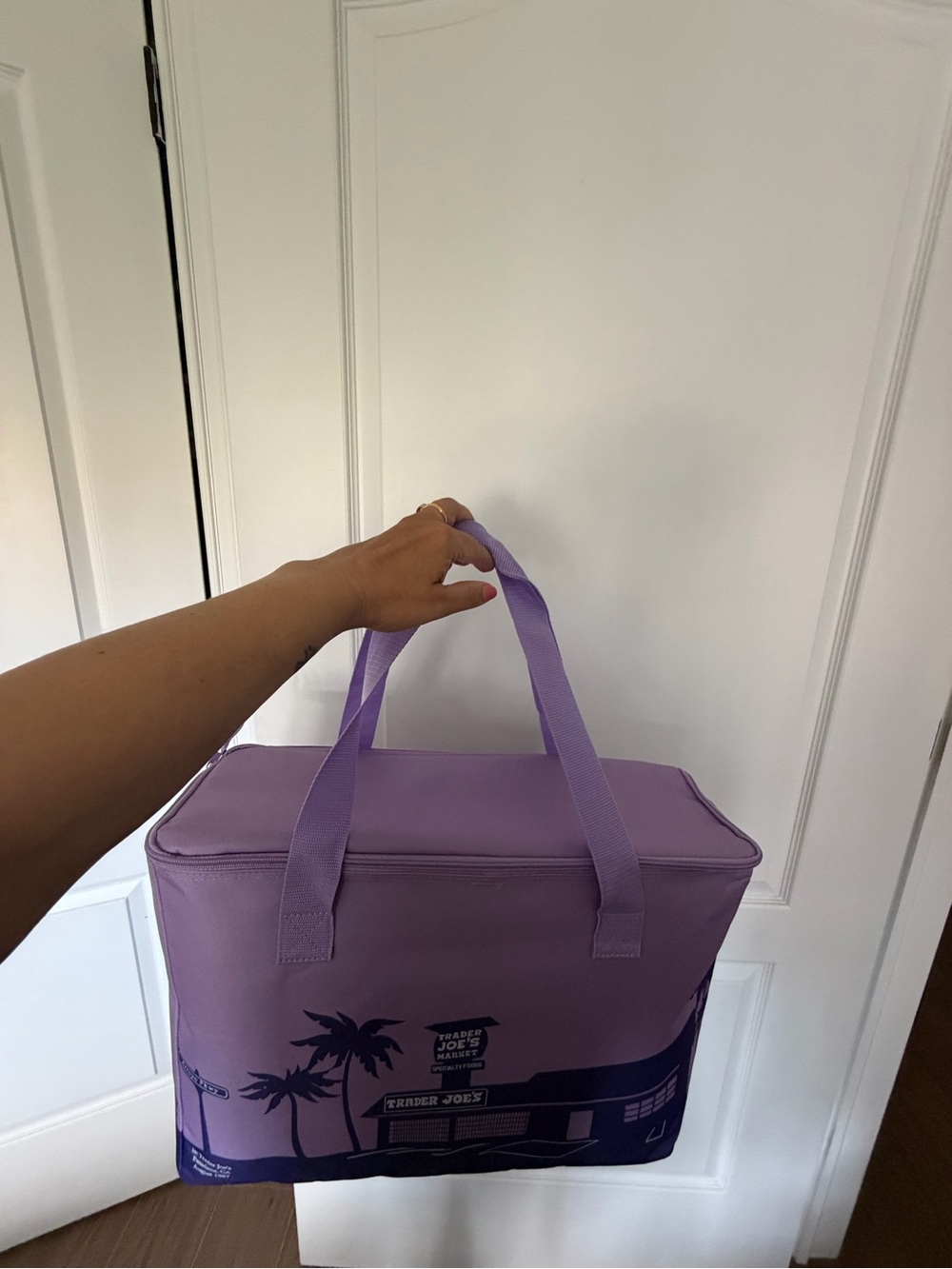 Trader Joe’s insulated cooler large bag